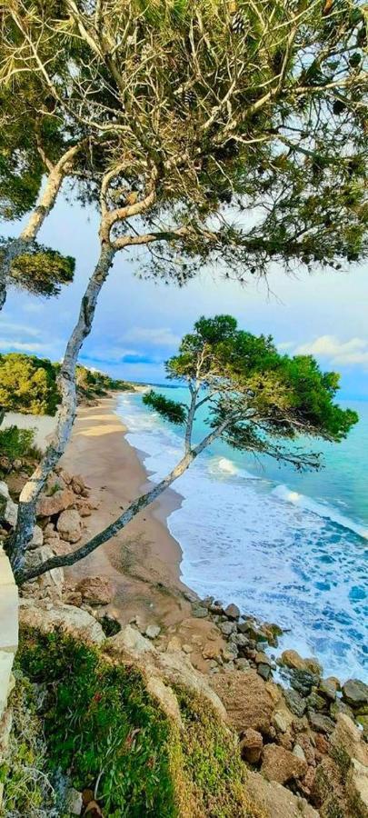 Tropikana Διαμέρισμα Miami Playa Εξωτερικό φωτογραφία