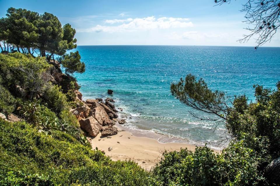 Tropikana Διαμέρισμα Miami Playa Εξωτερικό φωτογραφία